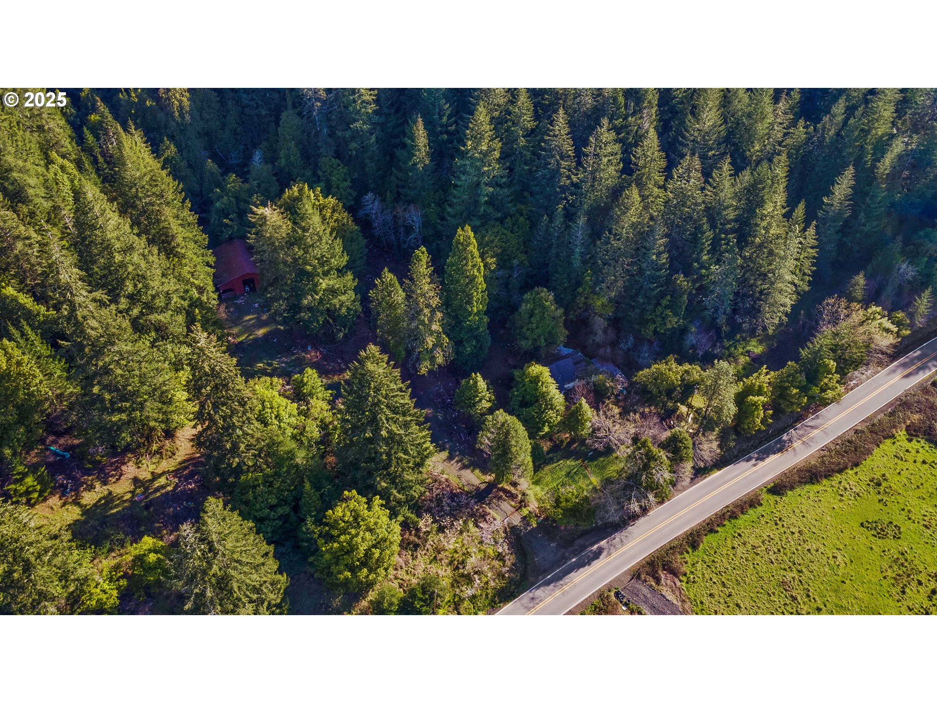 14159 Sitkum Lane Myrtle Point, OR 97458 - Photo 4 of 10 Gallery Image 4