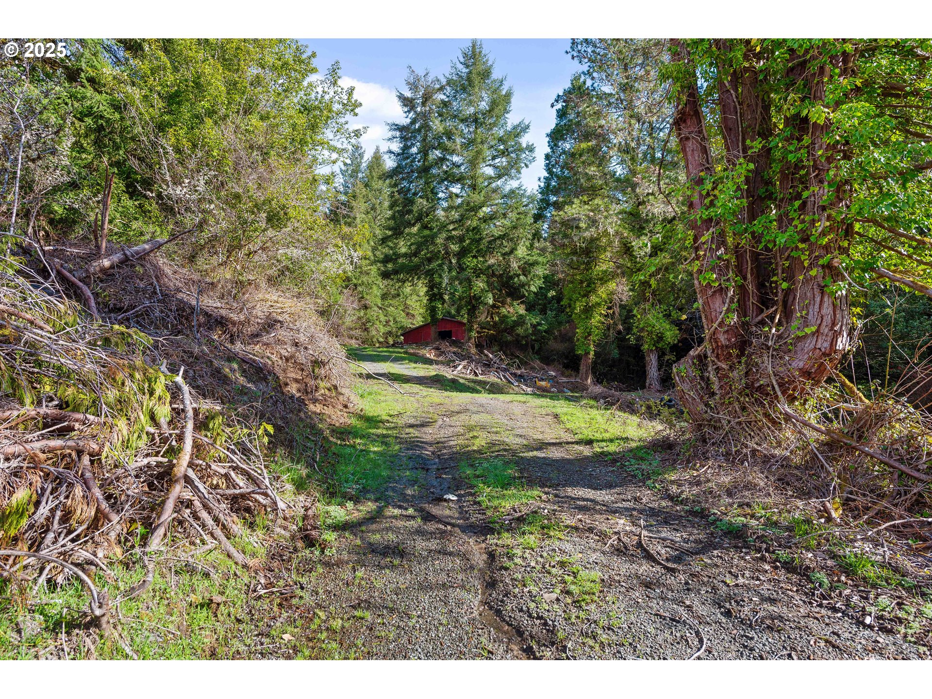 14159 Sitkum Lane Myrtle Point, OR 97458 - Photo 10 of 10 Gallery Image 10