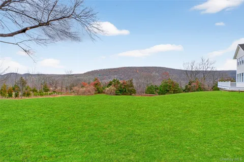 a view of a lush green field