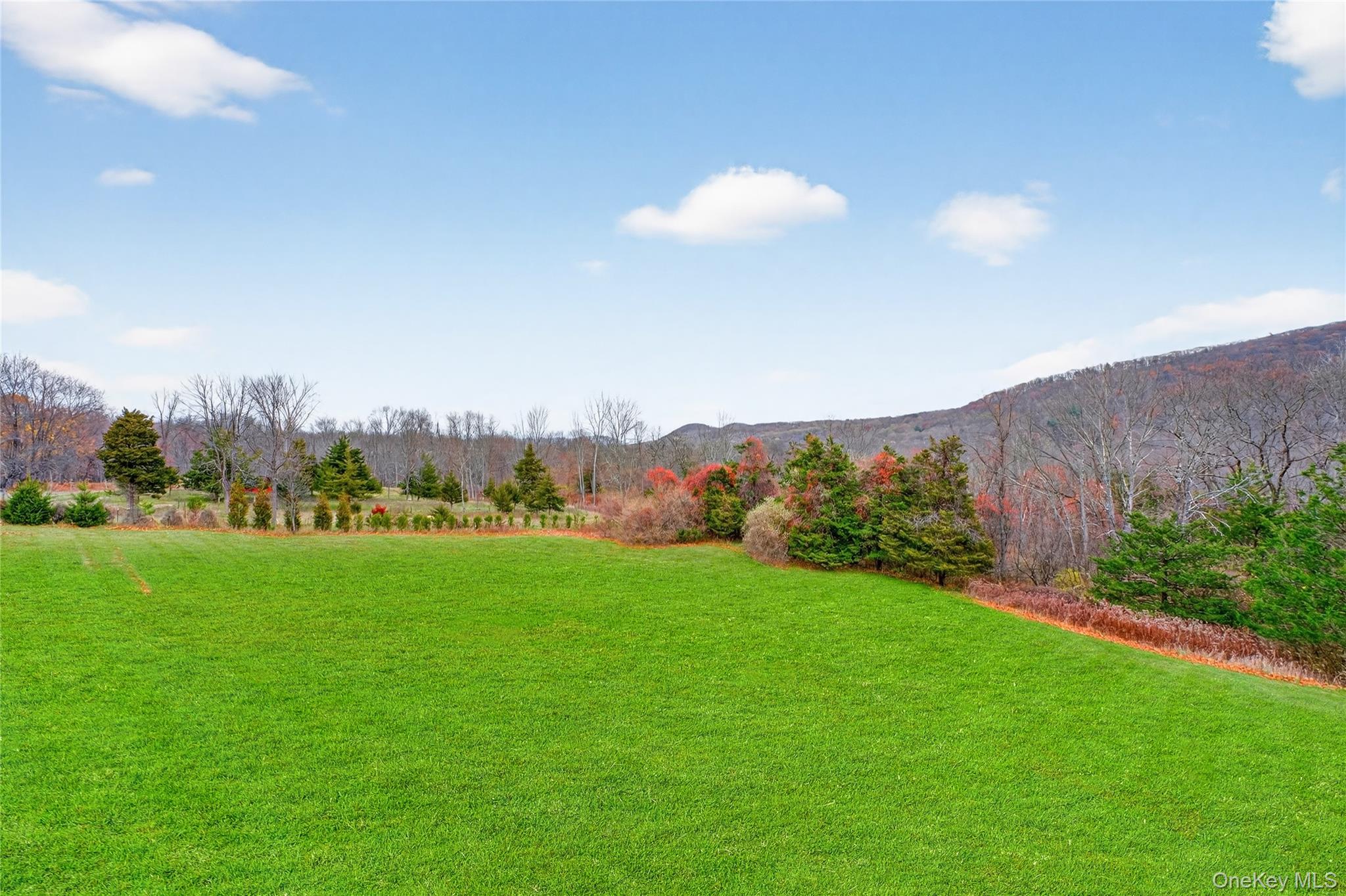 128 Old Pawling Road Pawling, NY 12564 - Photo 21 of 31 a view of a big yard with a large tree and a plants