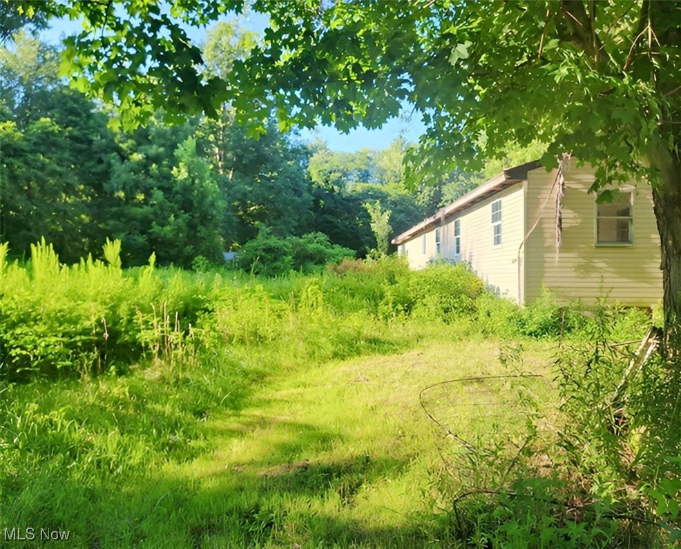 2104 Dock Road Madison, OH 44057 - Photo 9 of 11 View of yard