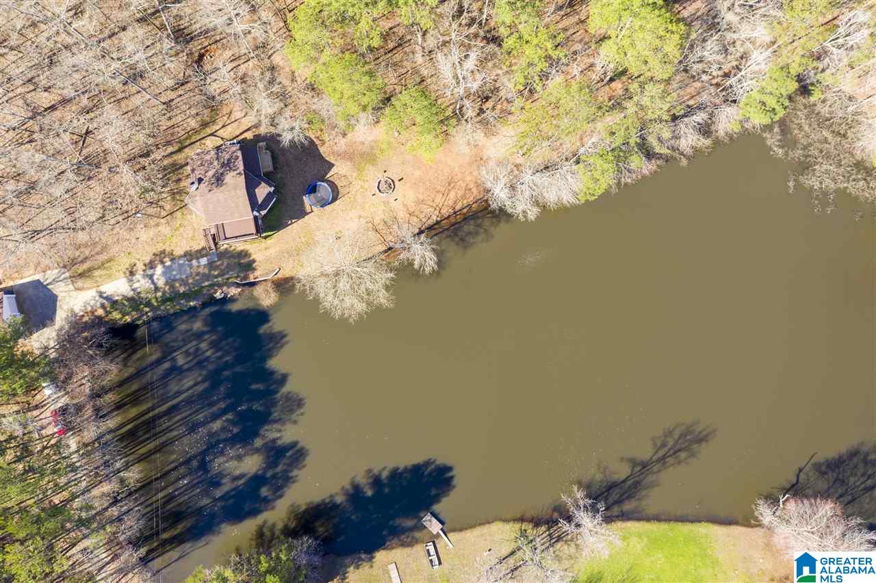 593 Lock 4 Road Riverside, AL 35135 - Photo 7 of 49