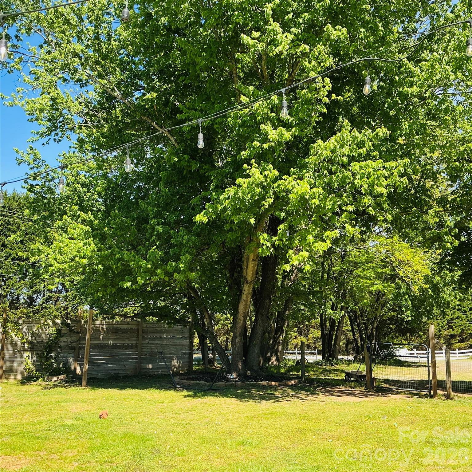 5229 Old Plank Road Iron Station, NC 28080 - Photo 14 of 17