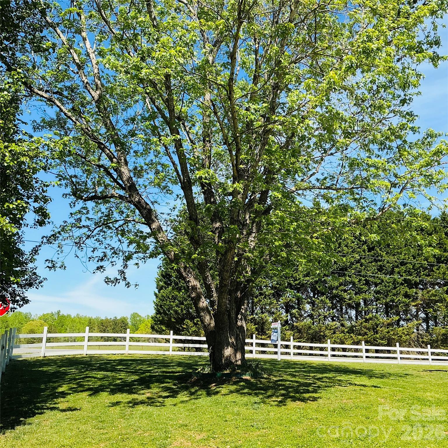 5229 Old Plank Road Iron Station, NC 28080 - Photo 3 of 17