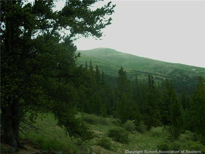 0 Co Road, Unit COUNTY Alma, CO 80420 - Photo 1 of 25 Gallery Image 1