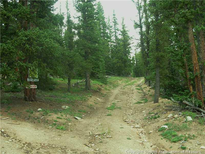 0 Co Road, Unit COUNTY Alma, CO 80420 - Photo 2 of 25 Gallery Image 2