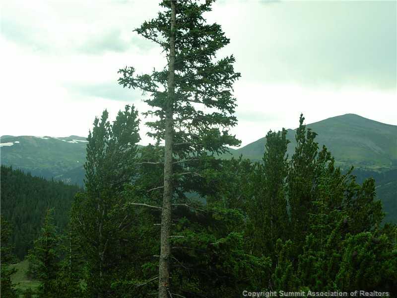 0 Co Road, Unit COUNTY Alma, CO 80420 - Photo 11 of 25 Gallery Image 11