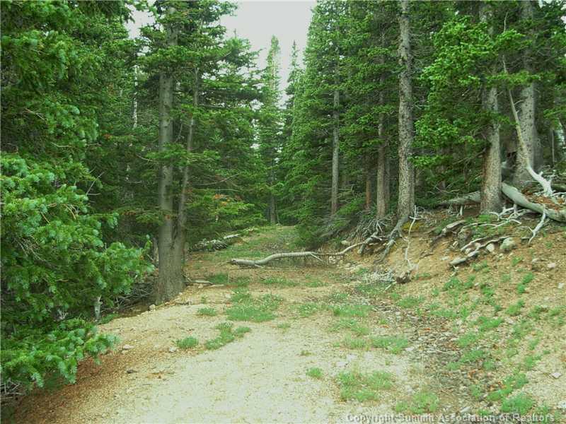 0 Co Road, Unit COUNTY Alma, CO 80420 - Photo 13 of 25 Gallery Image 13