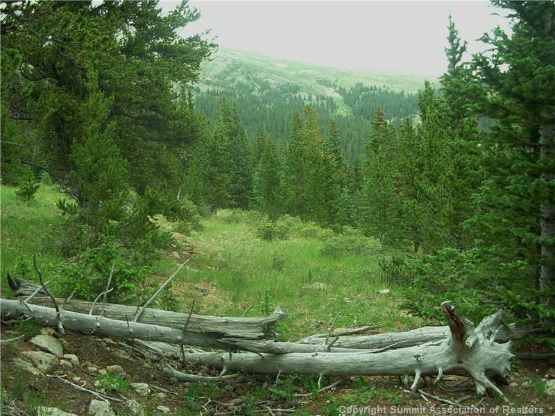 0 Co Road, Unit COUNTY Alma, CO 80420 - Photo 14 of 25 Gallery Image 14