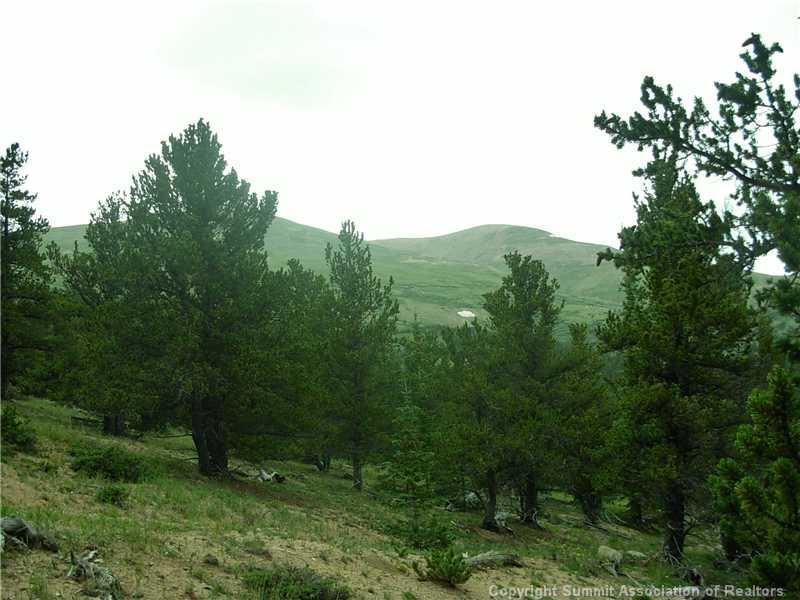 0 Co Road, Unit COUNTY Alma, CO 80420 - Photo 16 of 25 Gallery Image 16