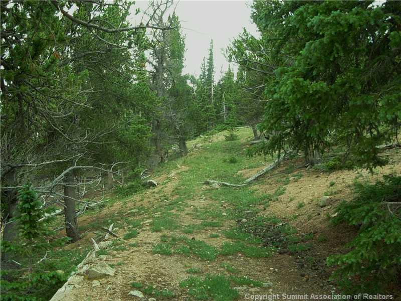 0 Co Road, Unit COUNTY Alma, CO 80420 - Photo 19 of 25 Gallery Image 19