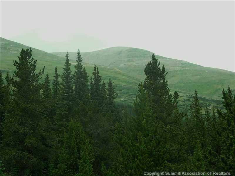 0 Co Road, Unit COUNTY Alma, CO 80420 - Photo 20 of 25 Gallery Image 20