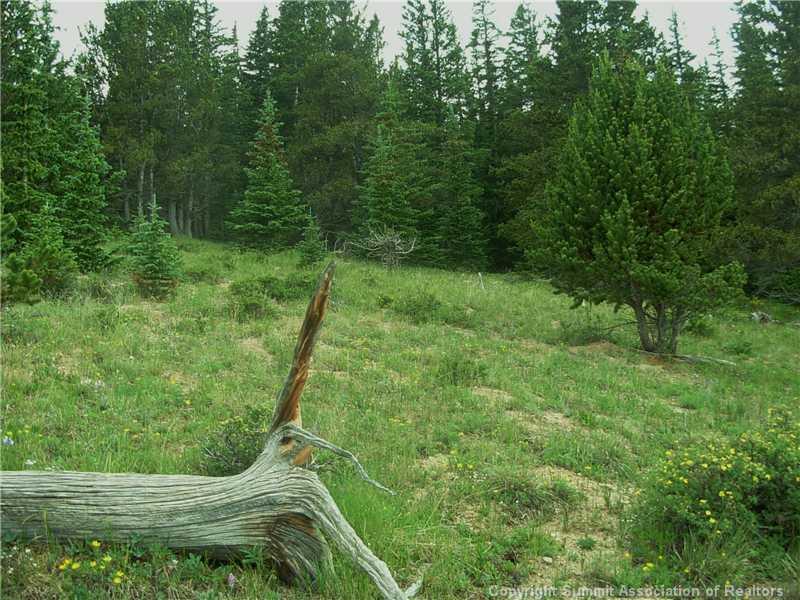 0 Co Road, Unit COUNTY Alma, CO 80420 - Photo 3 of 25 Gallery Image 3