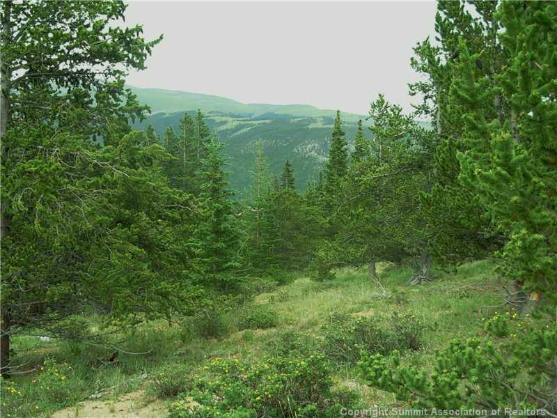 0 Co Road, Unit COUNTY Alma, CO 80420 - Photo 21 of 25 Gallery Image 21