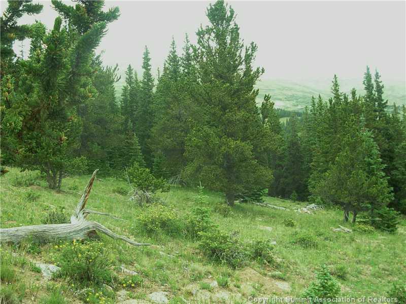 0 Co Road, Unit COUNTY Alma, CO 80420 - Photo 22 of 25 Gallery Image 22