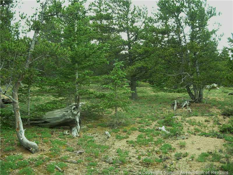 0 Co Road, Unit COUNTY Alma, CO 80420 - Photo 23 of 25 Gallery Image 23