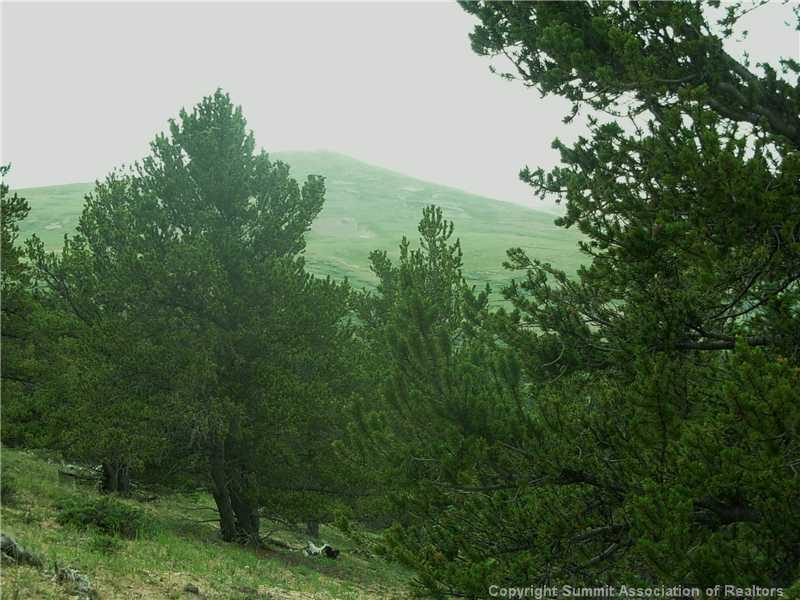 0 Co Road, Unit COUNTY Alma, CO 80420 - Photo 24 of 25 Gallery Image 24