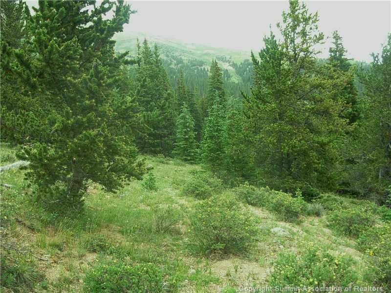 0 Co Road, Unit COUNTY Alma, CO 80420 - Photo 25 of 25 Gallery Image 25