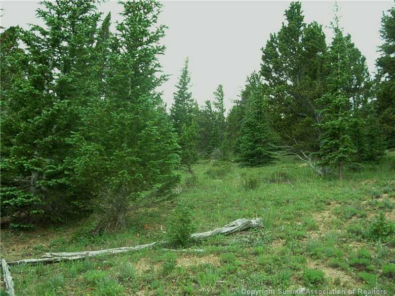 0 Co Road, Unit COUNTY Alma, CO 80420 - Photo 4 of 25 Gallery Image 4