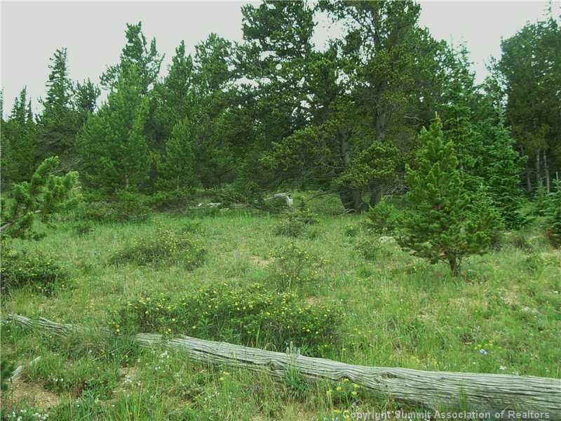 0 Co Road, Unit COUNTY Alma, CO 80420 - Photo 6 of 25 Gallery Image 6