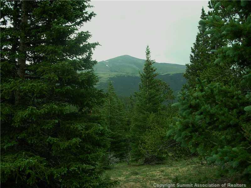 0 Co Road, Unit COUNTY Alma, CO 80420 - Photo 7 of 25 Gallery Image 7