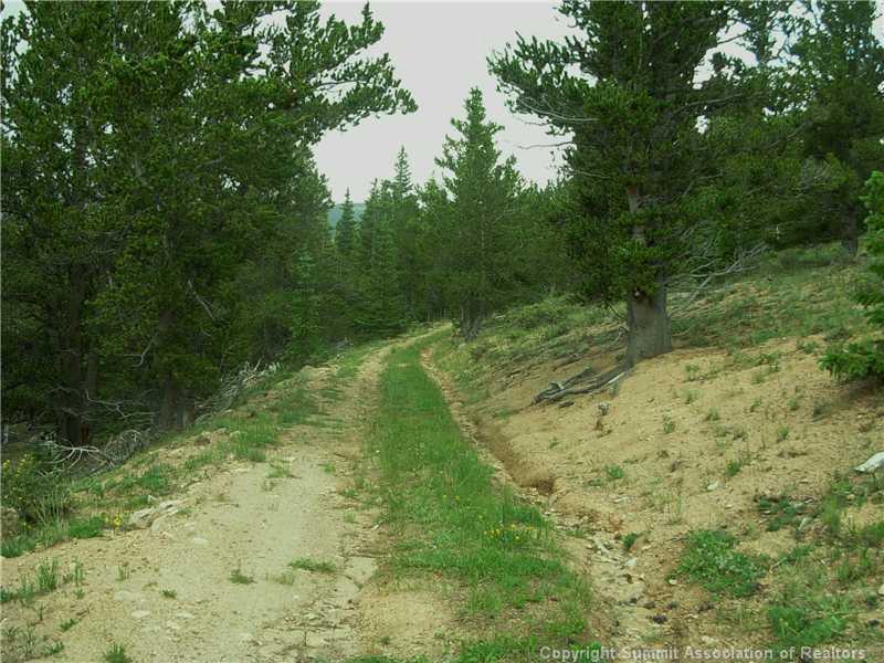 0 Co Road, Unit COUNTY Alma, CO 80420 - Photo 8 of 25 Gallery Image 8
