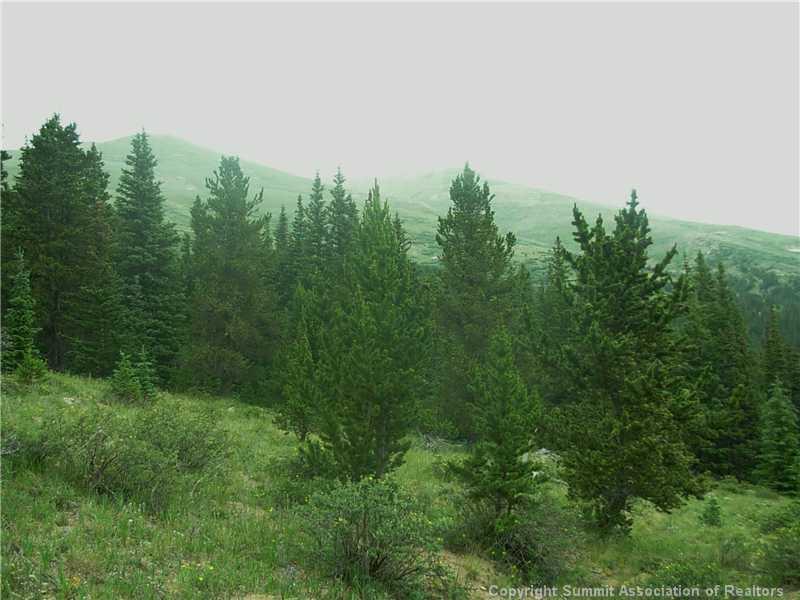 0 Co Road, Unit COUNTY Alma, CO 80420 - Photo 9 of 25 Gallery Image 9