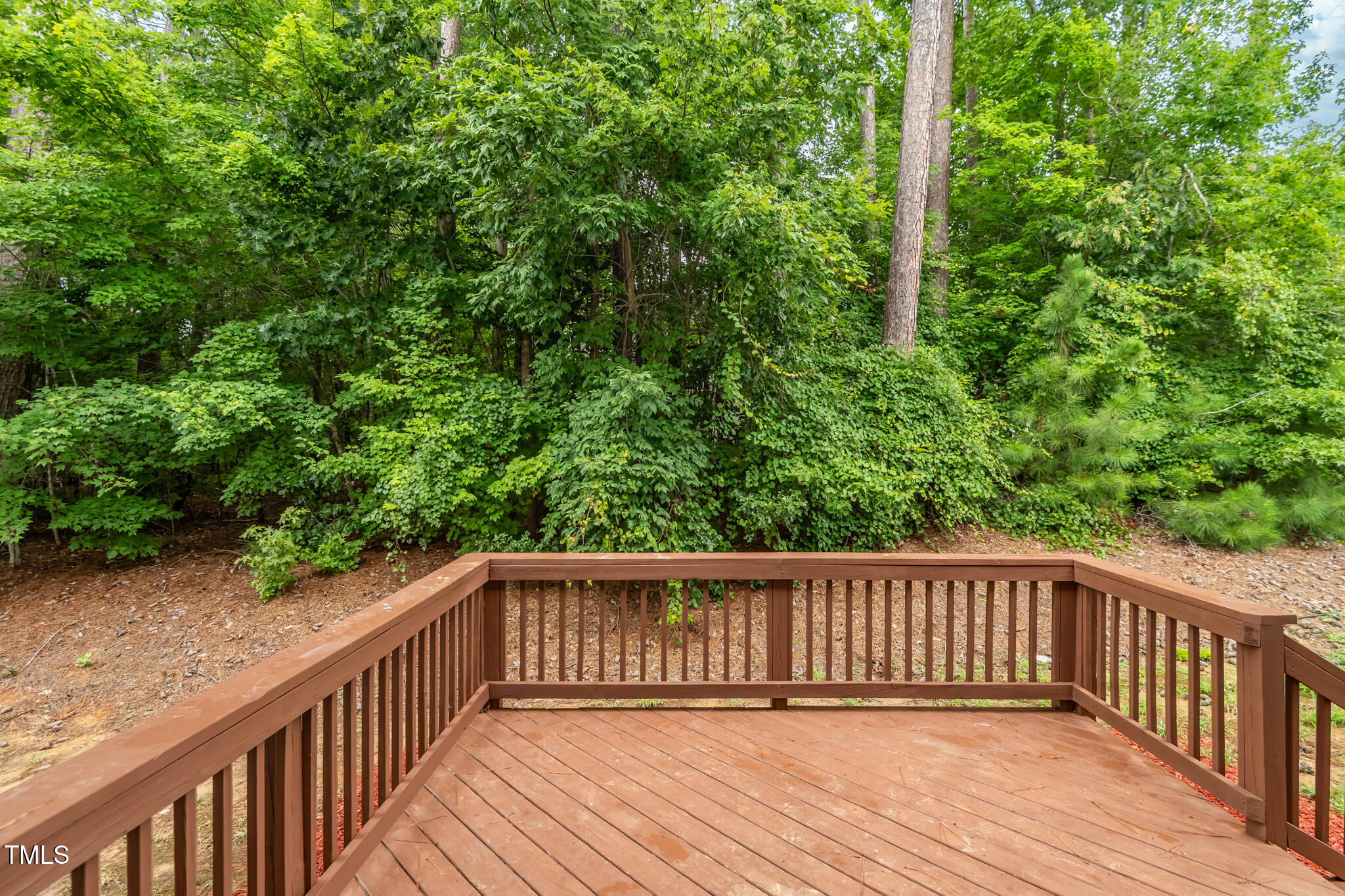 1604 Timber Wolf Drive Durham, NC 27713 - Photo 44 of 48 a view of balcony with wooden floor
