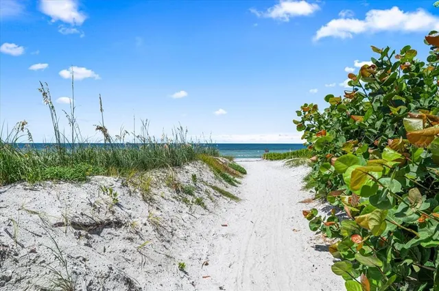 an aerial view of beach and ocean