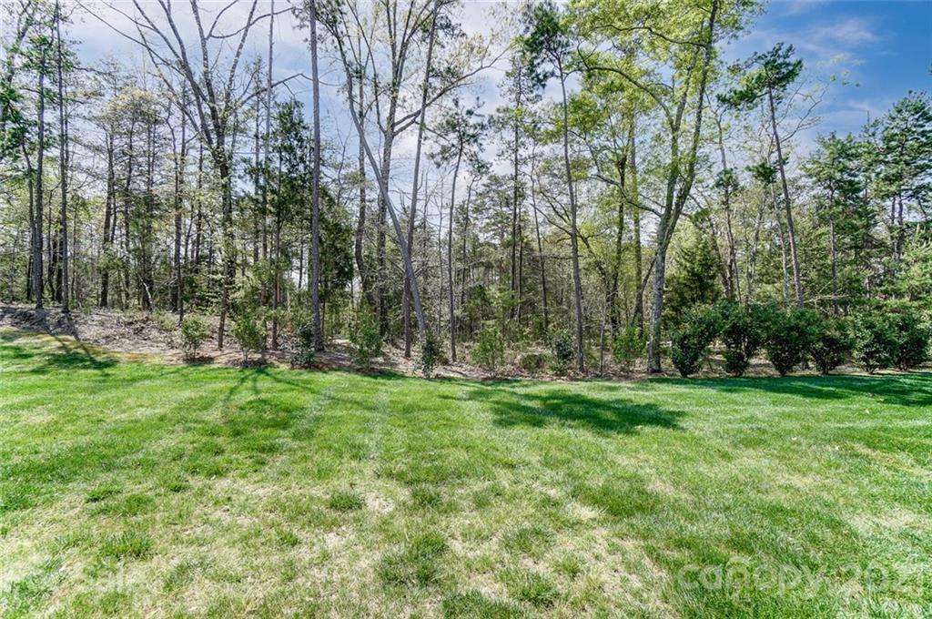 668 Zinnia Way Tega Cay, SC 29708 - Photo 44 of 45 Gallery Image 44