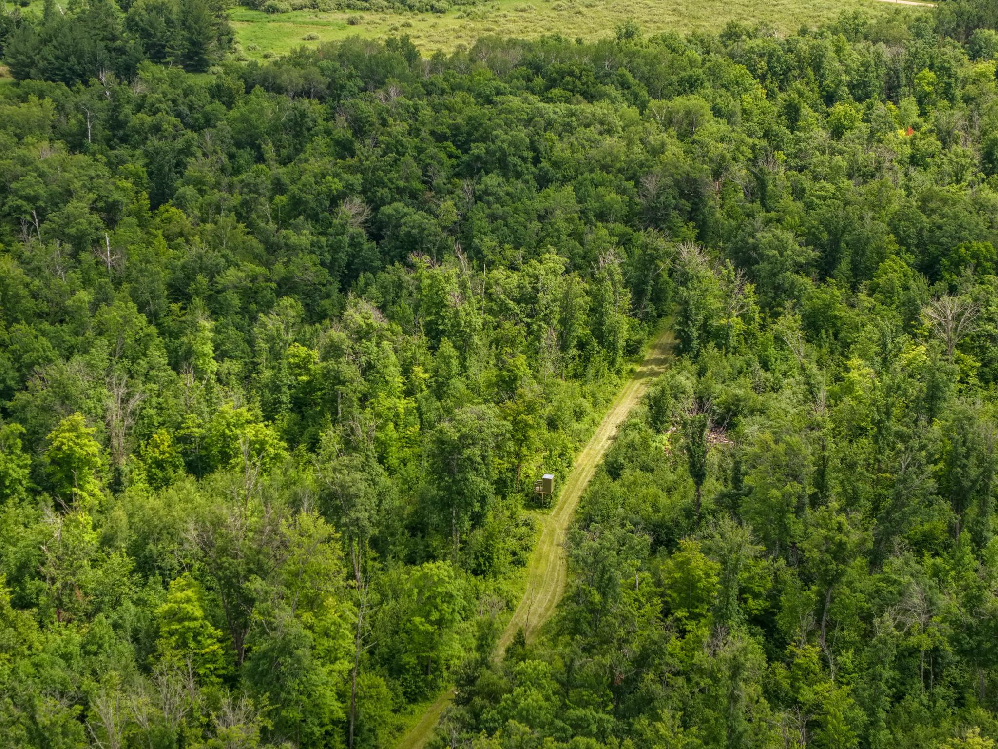 80-acres Pike Bay Loop Road Northwest Cass Lake, MN 56633 - Photo 18 of 27