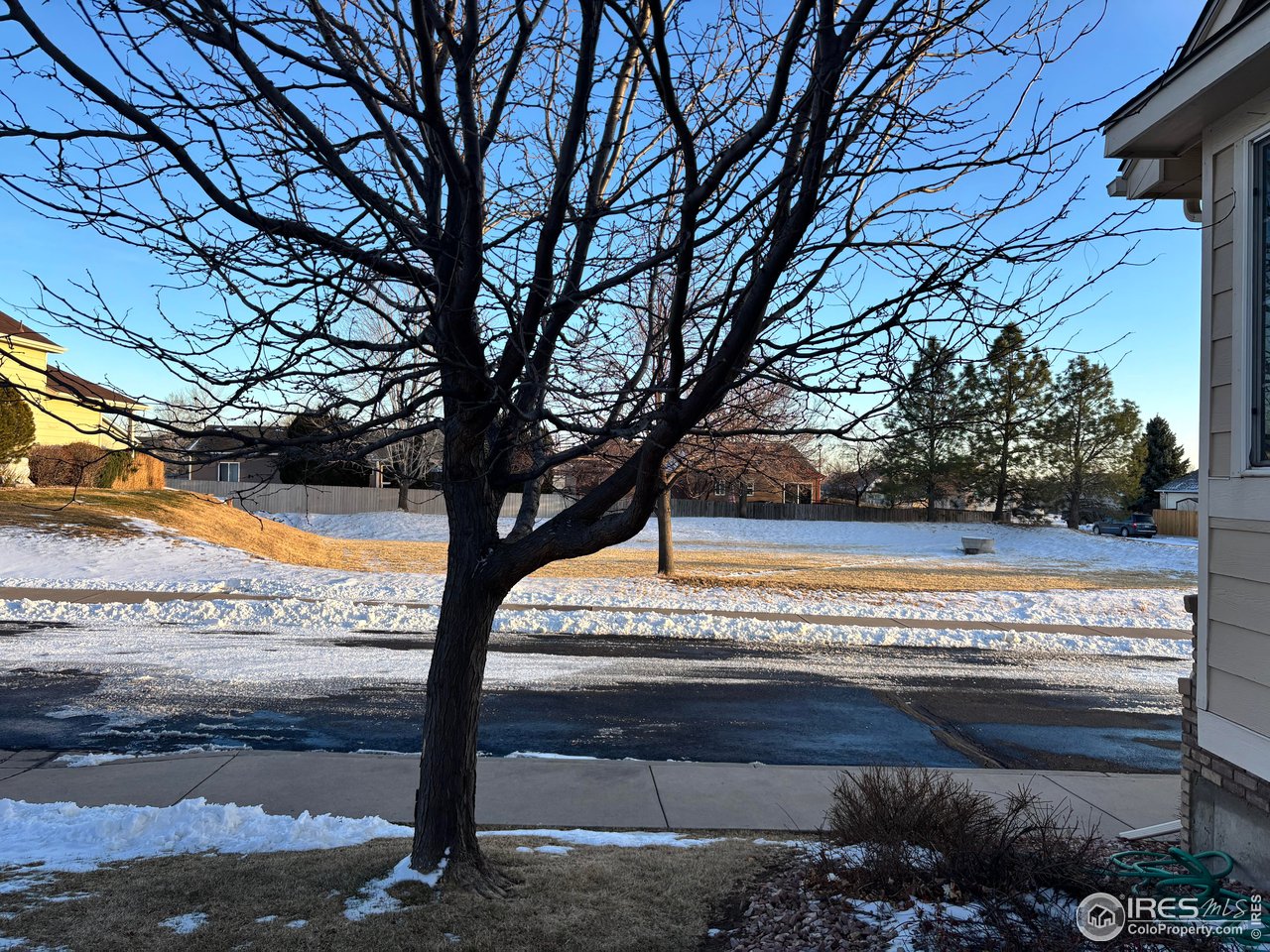 4902 29th Street, Unit 22D Greeley, CO 80634 - Photo 2 of 38 a view of park with tree