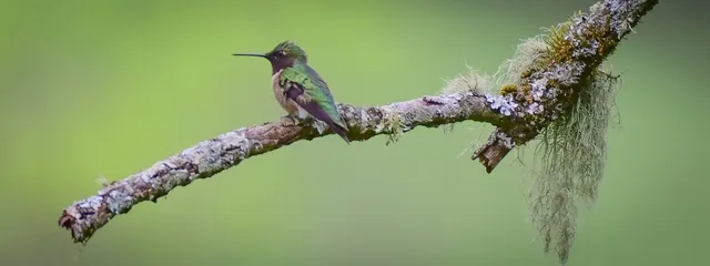 $395,000 | 550 Carl Dixon Lane, Gainesboro, TN 38562