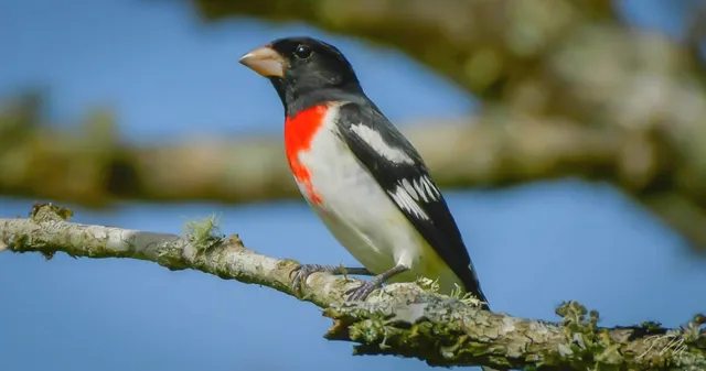 $395,000 | 550 Carl Dixon Lane, Gainesboro, TN 38562