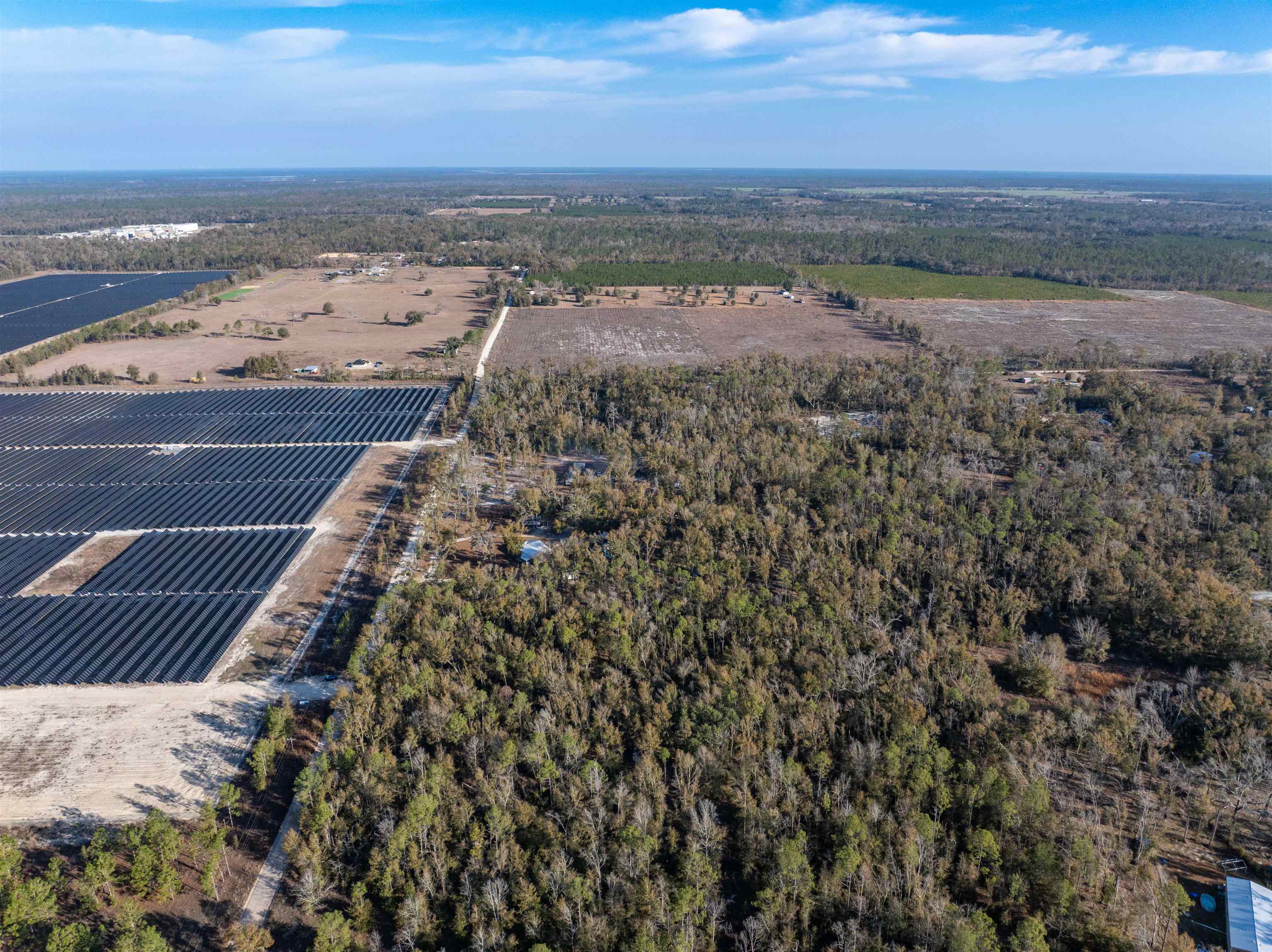 Vacant 193rd Road Live Oak, FL 32060 - Photo 1 of 11