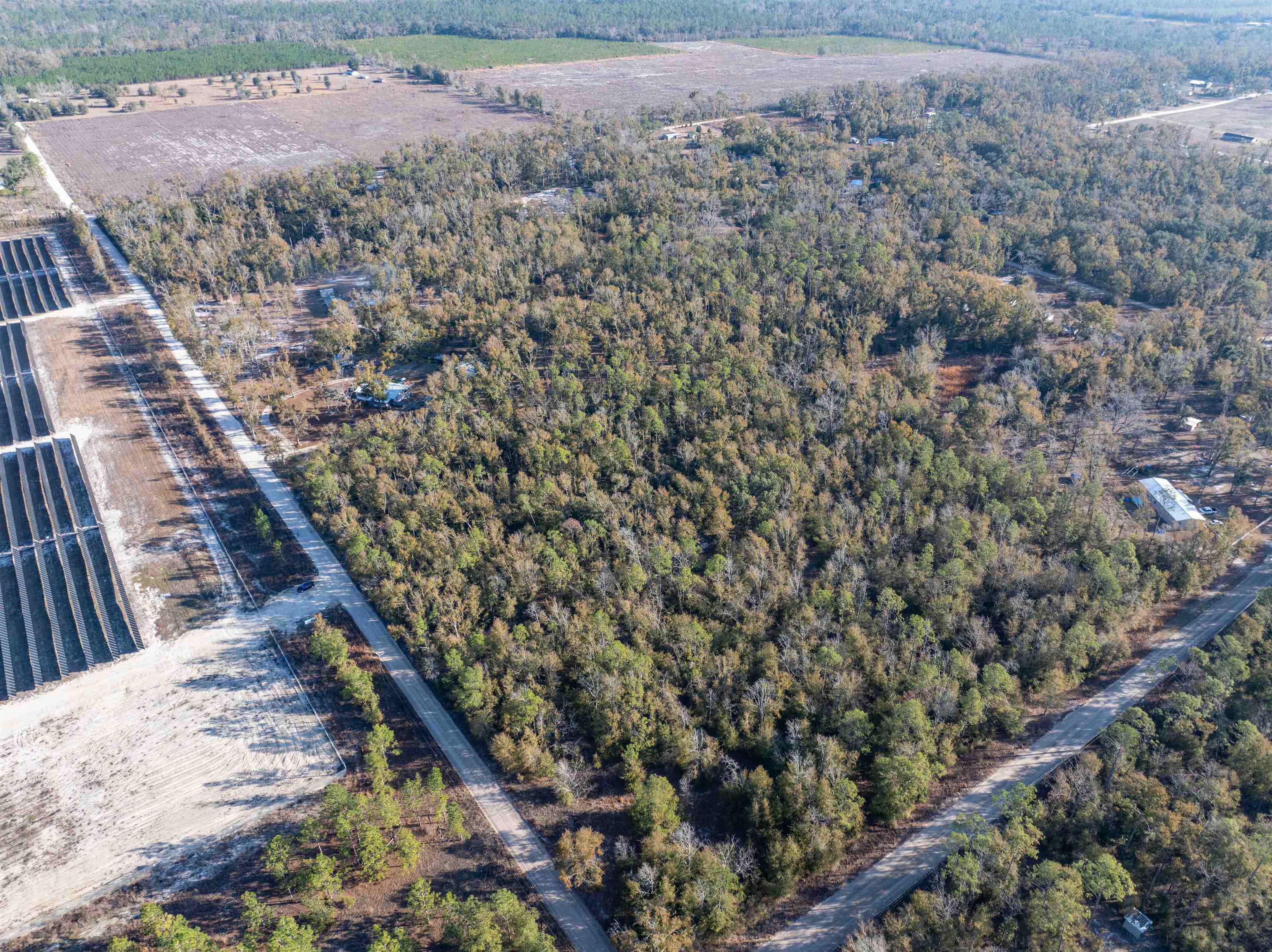 Vacant 193rd Road Live Oak, FL 32060 - Photo 2 of 11