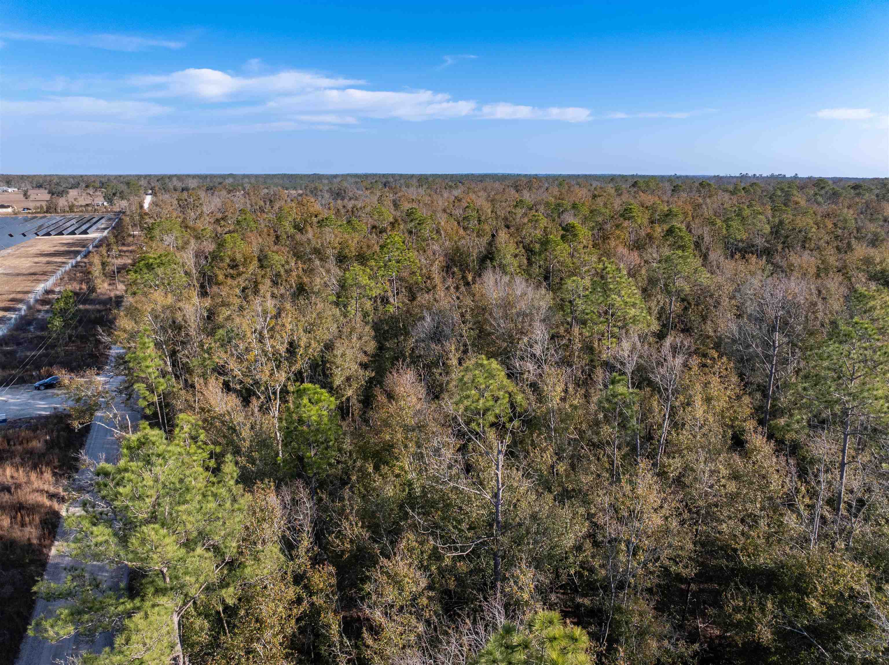 Vacant 193rd Road Live Oak, FL 32060 - Photo 4 of 11