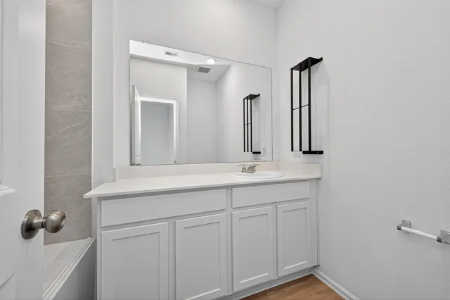 a bathroom with a sink and a mirror