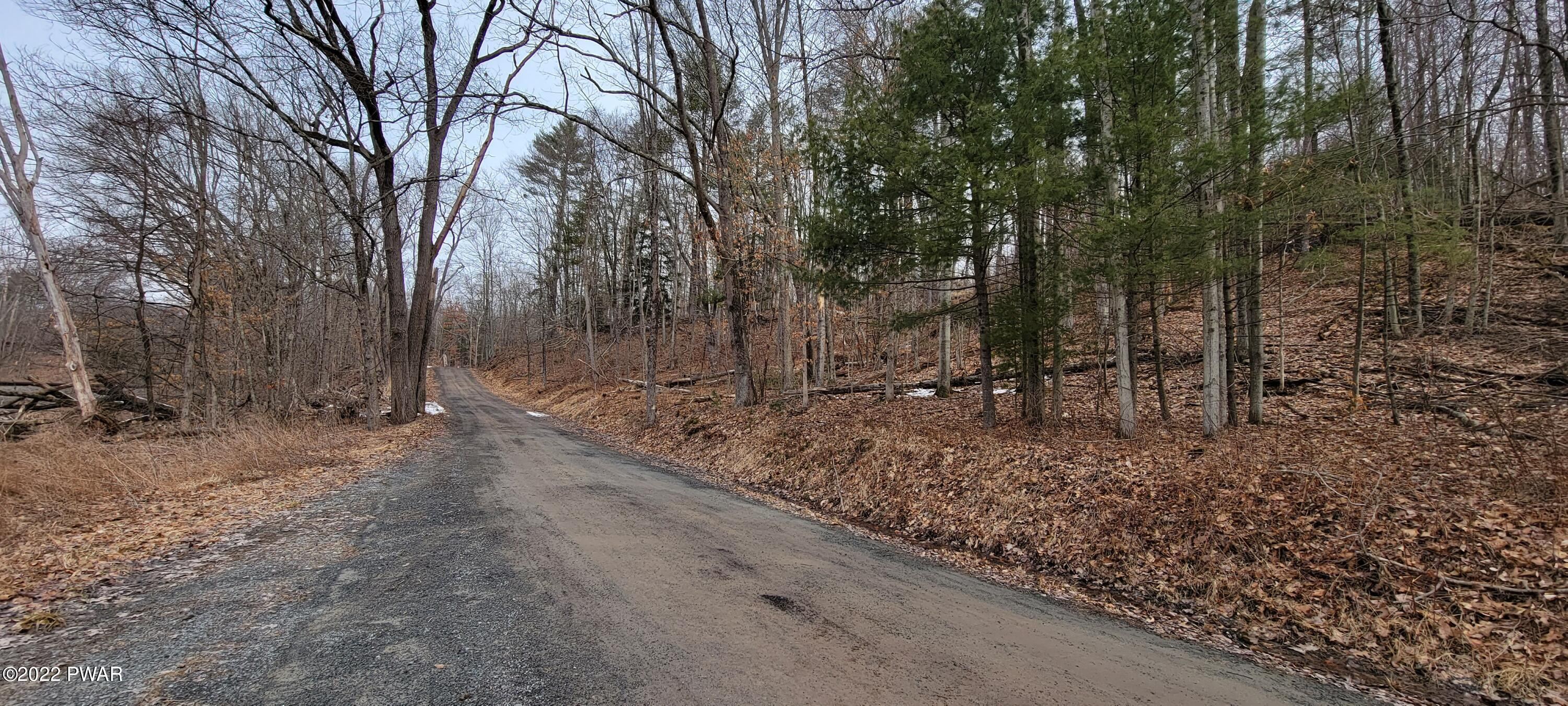 Lot 5.2 Humphrey Road Narrowsburg, NY 12764 - Photo 19 of 51