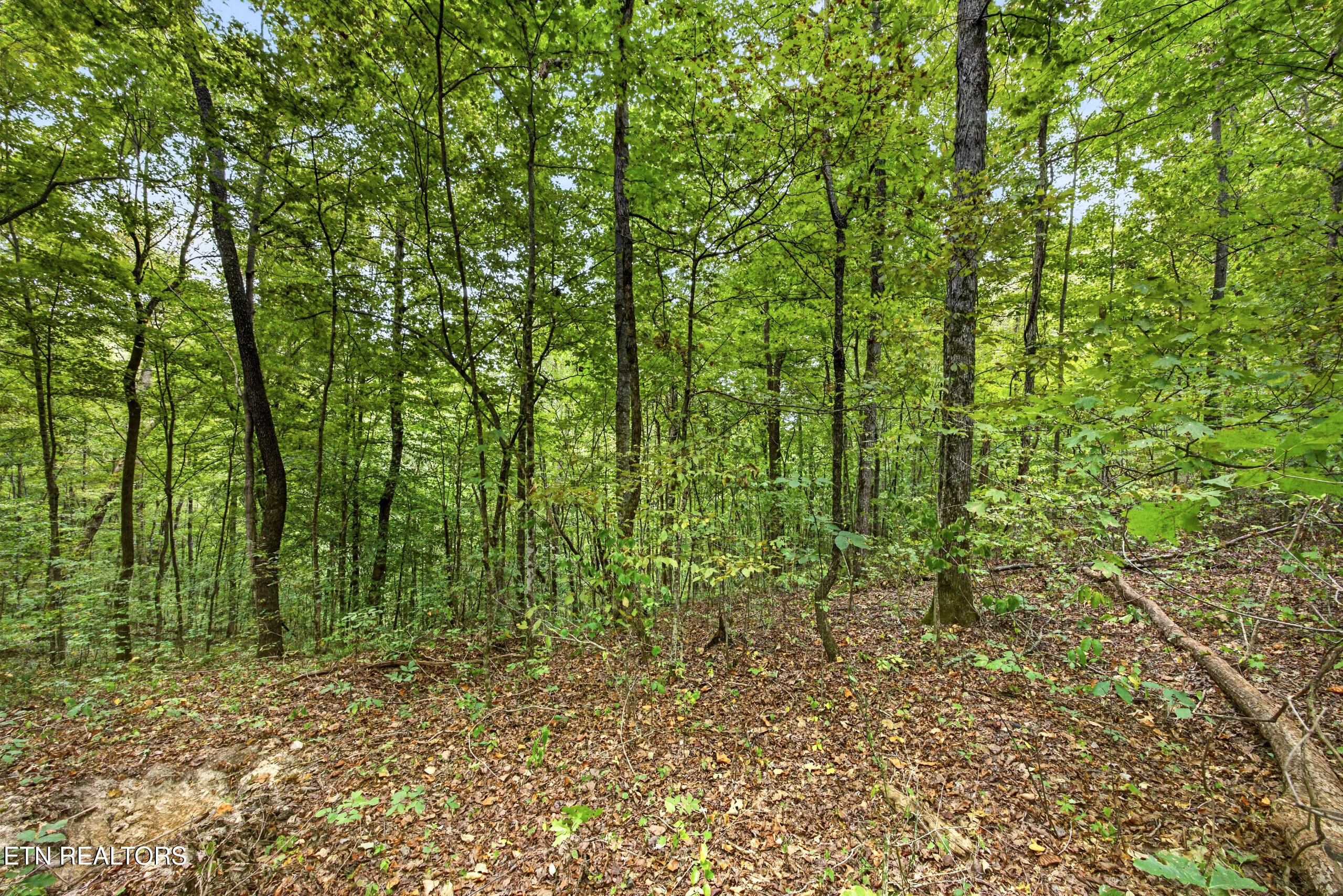 Lot 32 Timber Ridge Lane Celina, TN 38551 - Photo 13 of 15 12-8N5A6404