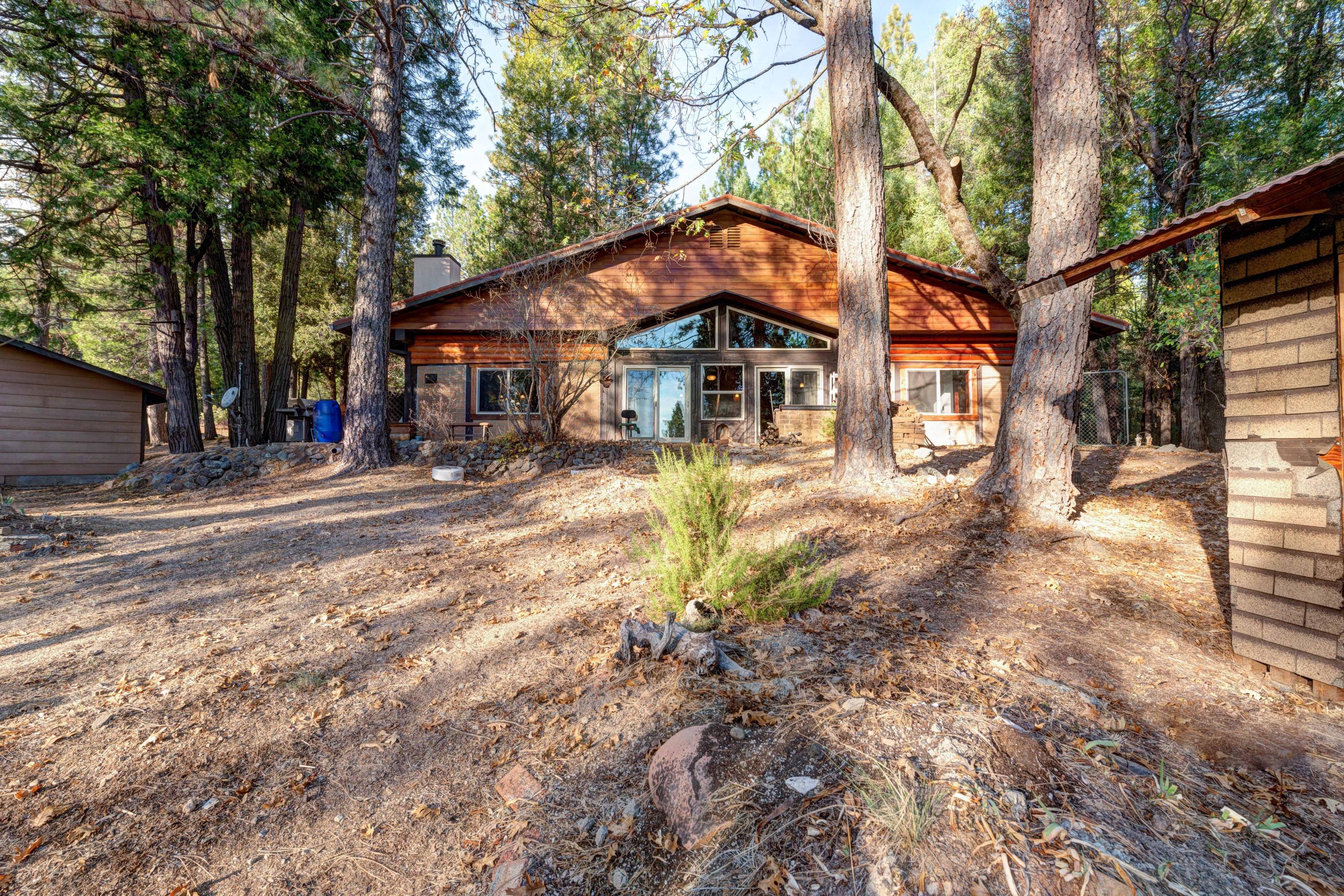 14732 Fern Road Whitmore, CA 96096 - Photo 45 of 51 GraceAstonPhotography-17