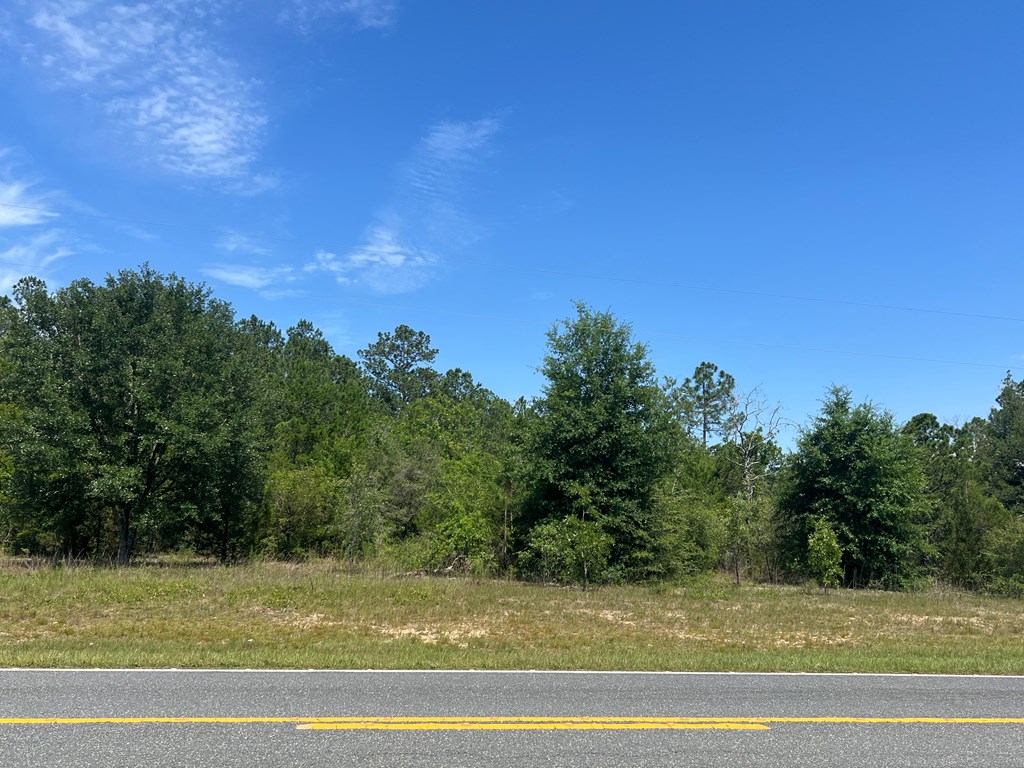 Lot 30 Fairview Road Marianna, FL 32448 - Photo 10 of 30 Gallery Image 10