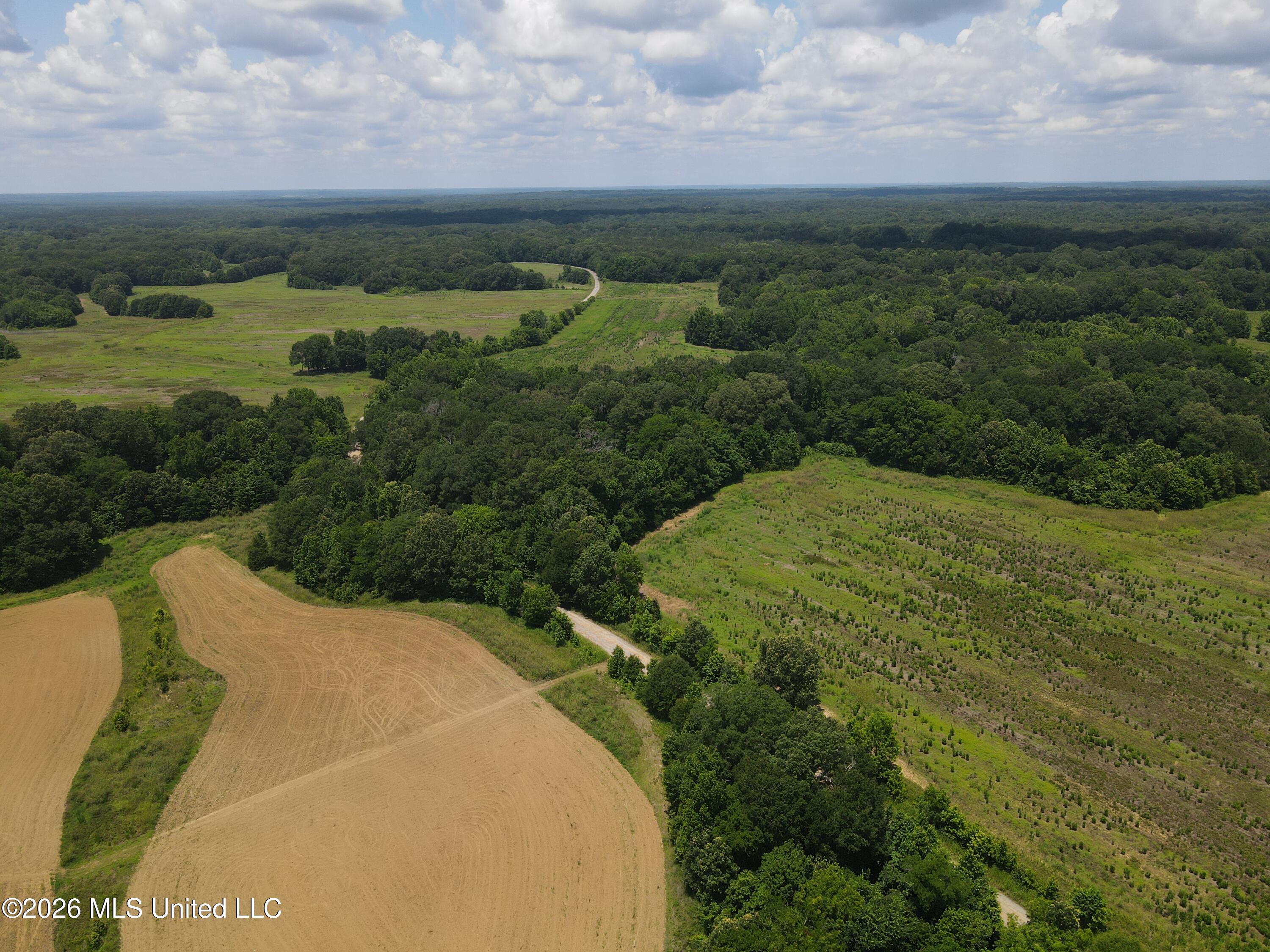 Old Port Edwards, MS 39066 - Photo 55 of 65 HDYI3410