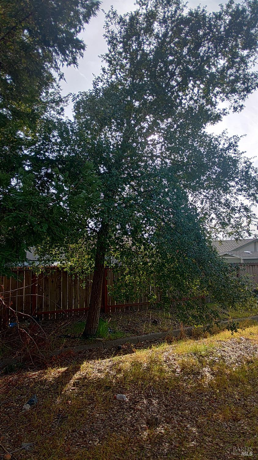 445 Lakehurst Court Fairfield, CA 94533 - Photo 27 of 40 a view of backyard with green space
