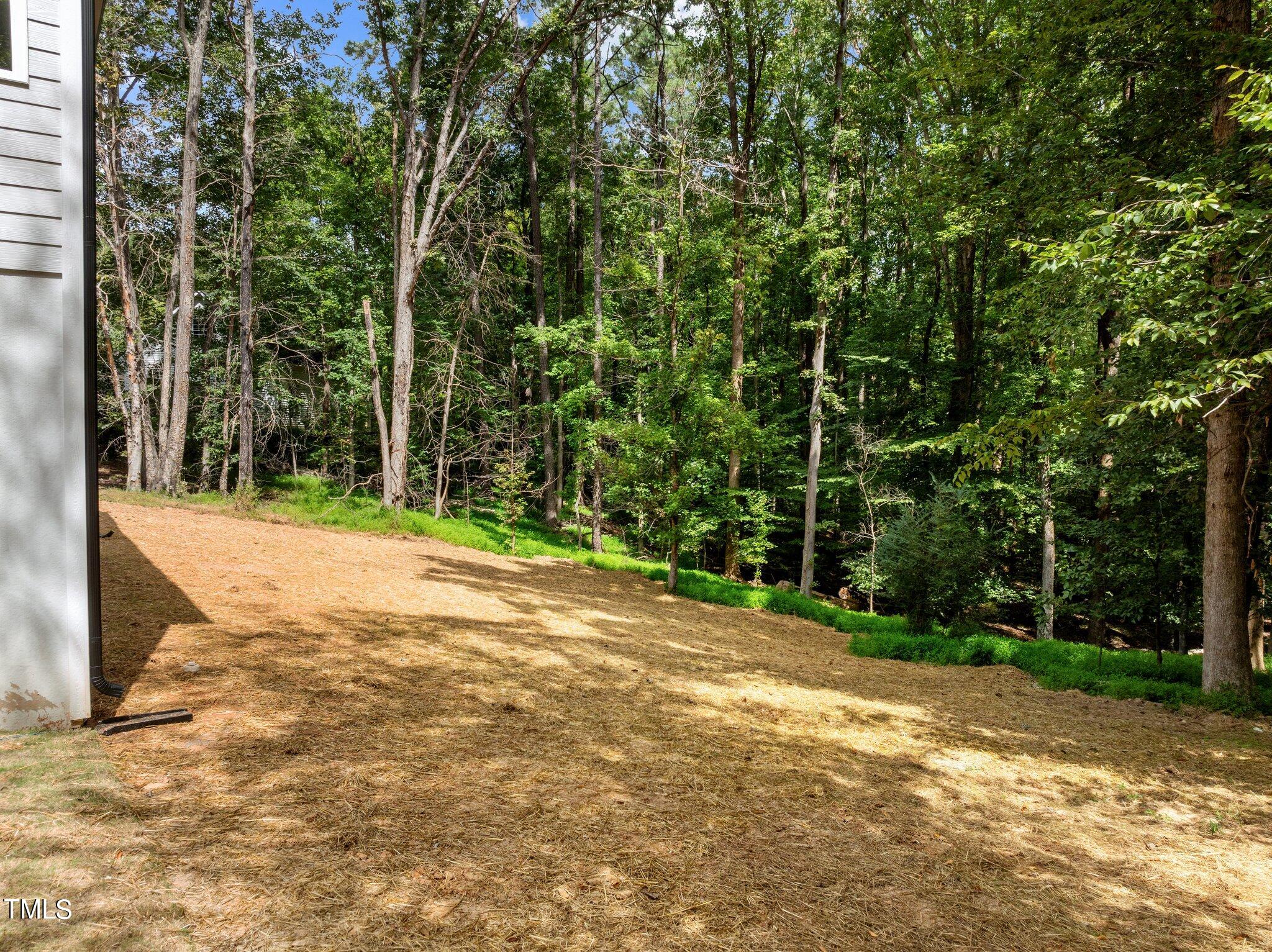 212 Cardinal Drive Youngsville, NC 27596 - Photo 43 of 46 17-web-or-mls-DJI_0409