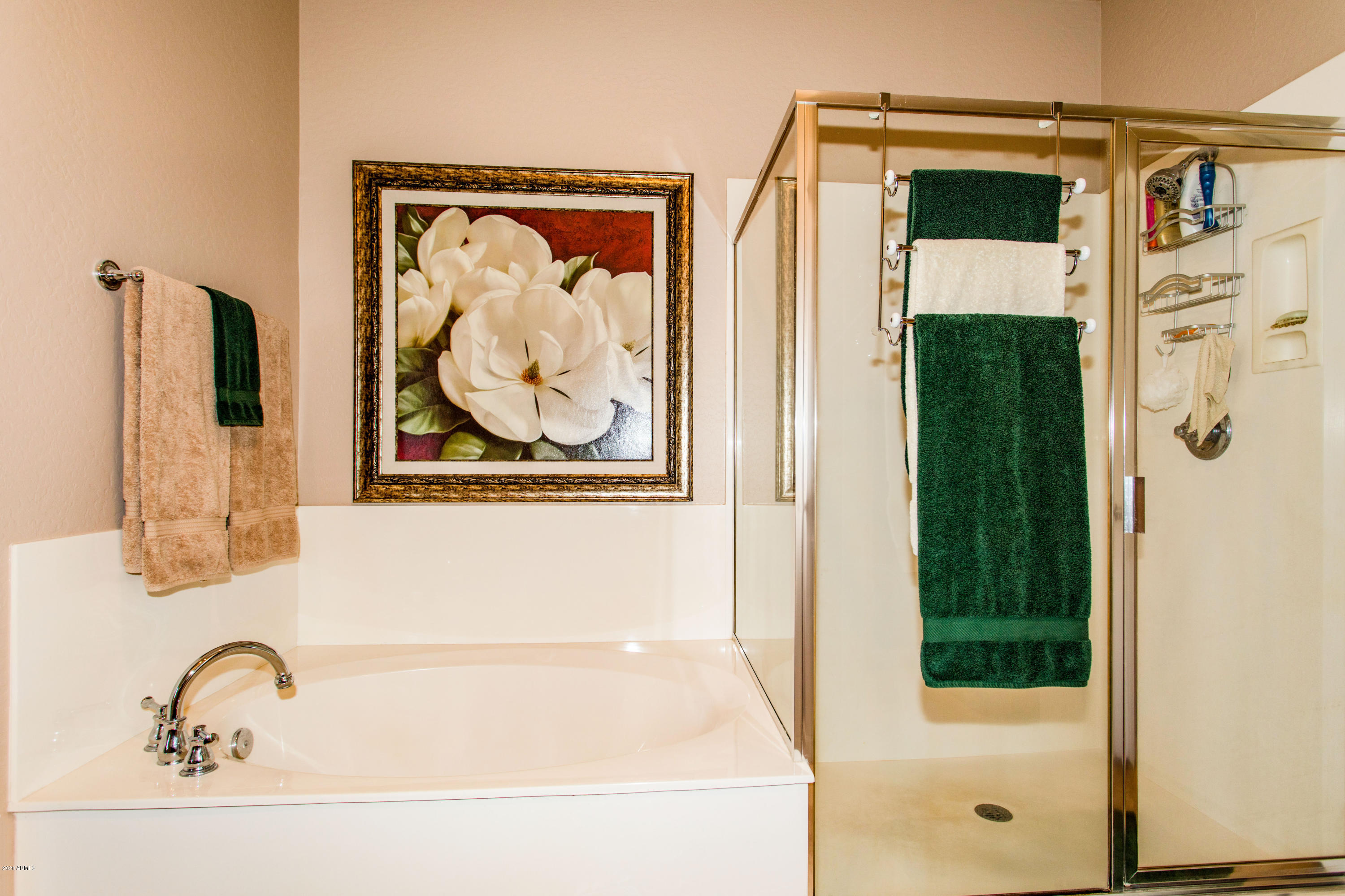 4777 South Fulton Ranch Boulevard, Unit 1017 Chandler, AZ 85248 - Photo 15 of 32 14 Master Bathroom