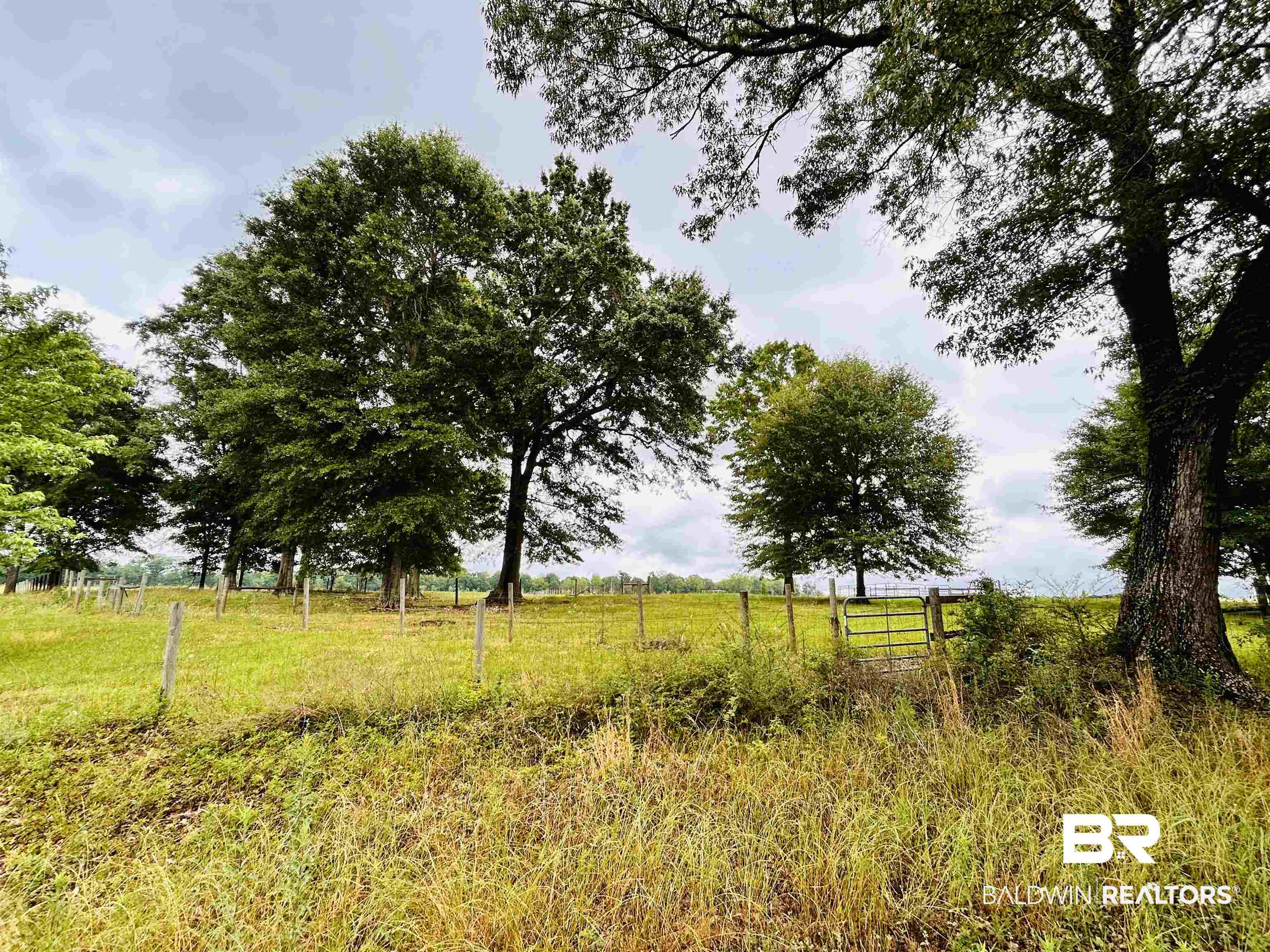 822 Dogwood Road Brewton, AL 36426 - Photo 4 of 5