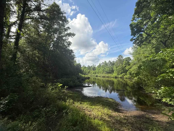 a view of a lake from a yard