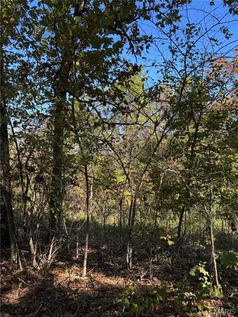 $15,500 | 14505 Harvey Drive, Dixon, MO 65459