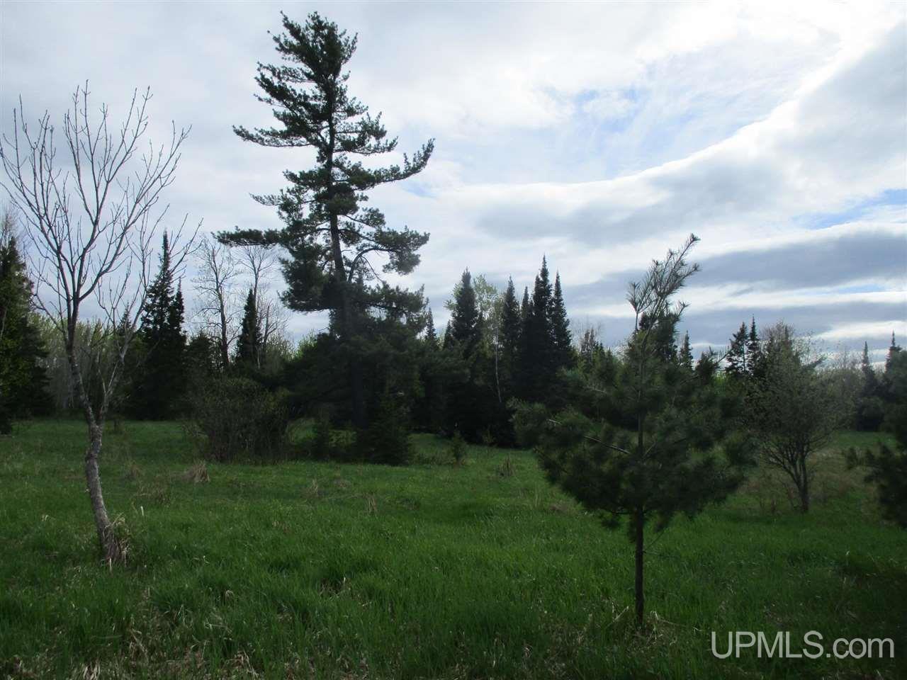 Tbd Tbd Harden Road Mass City, MI 49948 - Photo 2 of 8